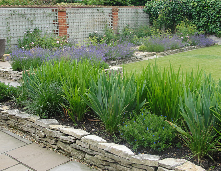 Friars Cliff - Garden Design and Landscape by Salt Marsh Garden Design