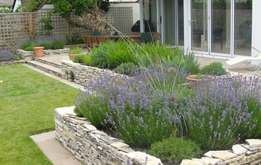 friars cliff garden  design and landscape