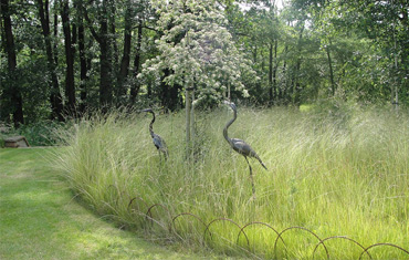 orchard garden  design and landscape